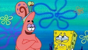 SpongeBob Kanciastoporty Odrzucony