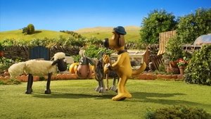 Baranek Shaun Odcinek 29