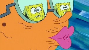 SpongeBob Kanciastoporty Buzi Babuni