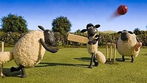 Baranek Shaun Odcinek 15