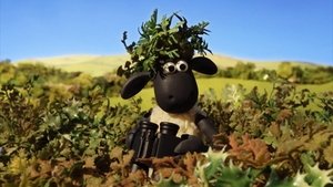 Baranek Shaun Odcinek 23