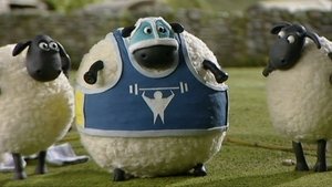 Baranek Shaun Trener Shaun