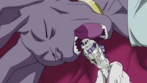 Dragon Ball Super Też już tu jestem! Zaczynamy trening na planecie Beerusa!