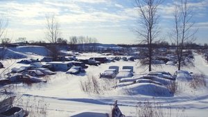 Making a Murderer Ostatnia osoba, która widziała Teresę żywą
