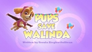 Psi Patrol Pieski ratują Walindę