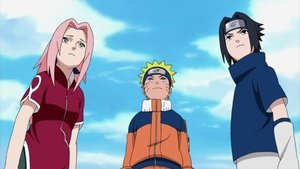 Naruto Shippuuden Odcinek 361