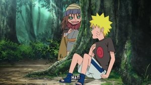 Naruto Shippuuden Odcinek 314