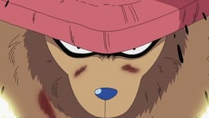 One Piece Owoc typu Zoan! Siedmiopoziomowa transformacja Choppera.