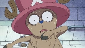 One Piece Niebieskonosy renifer! Sekret Choppera.