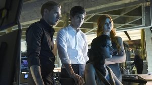 Shadowhunters Gwiazda zaranna