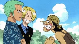 One Piece Wszyscy w komplecie! Prawda o Nami.