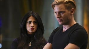 Shadowhunters Sojusz