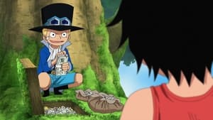 One Piece Odcinek 494