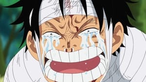 One Piece Odcinek 491