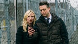 Prawo i porządek: Sekcja specjalna Odcinek 14