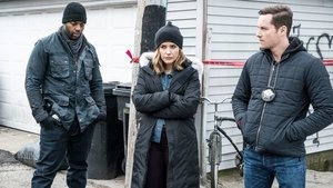 Chicago P.D. Sprawy, które trzeba rozwiązać