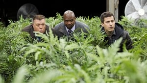 Brooklyn 9-9 Myszy