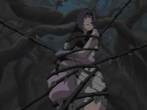 Naruto Odcinek 205