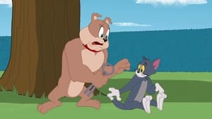 Tom i Jerry Show Odcinek 1