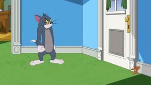 Tom i Jerry Show Odcinek 3