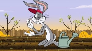 Królik Bugs: Nowe Zwariowane melodie Ogrodnik Bugs