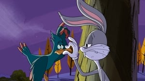 Królik Bugs: Nowe Zwariowane melodie Irytujący absztyfikant
