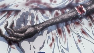 Hunter x Hunter Porażka x i x ponowne spotkanie