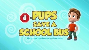 Psi Patrol Pieski ratują autobus szkolny