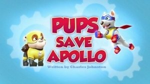Psi Patrol Pieski ratują Apollo