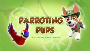 Psi Patrol Pieski i papuga