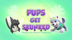 Psi Patrol Pieski i skunks