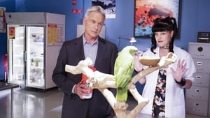 Agenci NCIS Odcinek 3