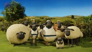 Baranek Shaun Odcinek 3