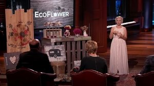 Shark Tank Odcinek 8