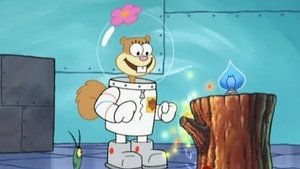 SpongeBob Kanciastoporty Odcinek 52