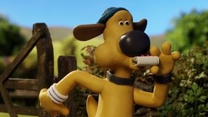 Baranek Shaun Odcinek 10
