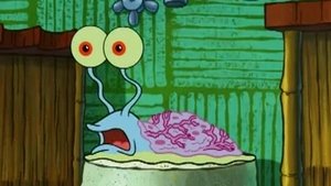 SpongeBob Kanciastoporty Skorupkowy szok
