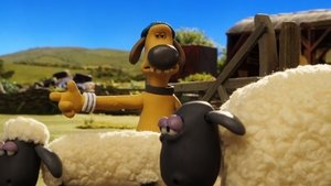 Baranek Shaun Odcinek 17