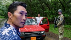 Hawaii 5.0 Odcinek 14