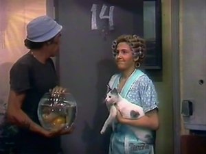 El Chavo del Ocho Odcinek 23