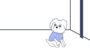 Rooster Teeth Animated Adventures Odcinek 49