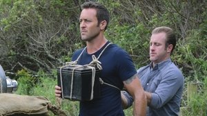 Hawaii 5.0 Odcinek 18