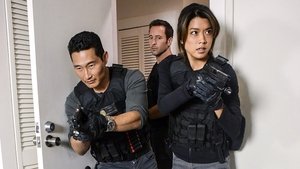 Hawaii 5.0 Odcinek 19