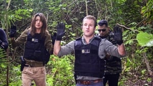 Hawaii 5.0 Odcinek 21
