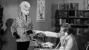 The Beverly Hillbillies Odcinek 7