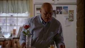 Everwood Odcinek 20