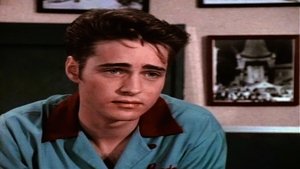 Beverly Hills, 90210 Odcinek 24