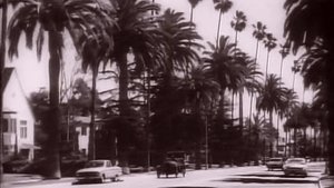 The Beverly Hillbillies Odcinek 21