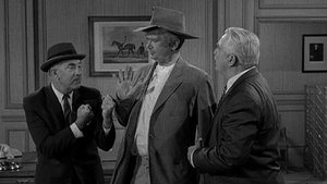 The Beverly Hillbillies Odcinek 29