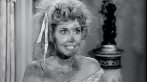 The Beverly Hillbillies Odcinek 12